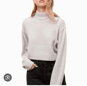 Wilfred Light Gray Turtleneck Sweater Merino Wool XS Mock Neck Warm Winter